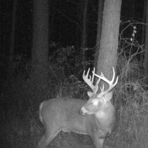 Meet your Posher, Kyle